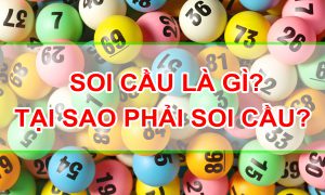 soi cau la gi ? tim hieu ve soi cau va cach soi cau hinh anh 1